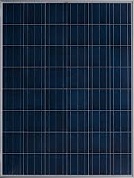 Yingli Solar 310W